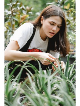 ΤΣΑΙ ΝΙΟΤΗΣ-TEA YOUNG