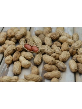 ΦΥΣΤΙΚΙ ΑΡΑΠΙΚΟ ΜΕ ΑΛΑΤΙ