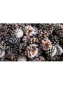 ΚΟΥΚΟΥΝΑΡΙ