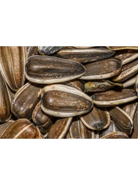 ΗΛΙΟΣΠΟΡΟΣ ΑΝΑΛΑΤΟ