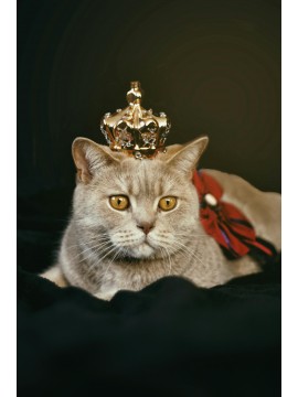 ΒΑΣΙΛΙΣΣΑ-QUEEN